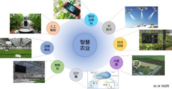 2015年农业B2B互联网行业报告 网络技术开发趋势与影响分析