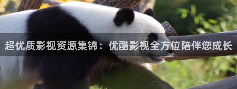 金桔直播视频观看：超优质影视资源集锦：优酷影视全方位陪伴您成长