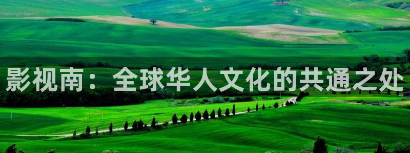 金桔影视app下载：影视南：全球华人文化的共通之处