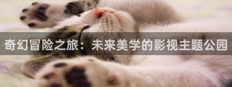 下载金桔视频