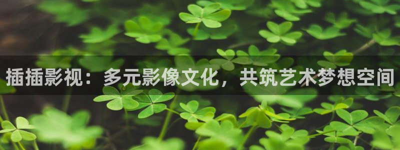 金桔柠檬汁视频：插插影视：多元影像文化，共筑艺术梦想空间