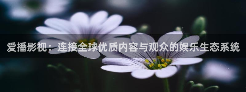 下载金桔影视：爱播影视：连接全球优质内容与观众的娱乐生态系统
