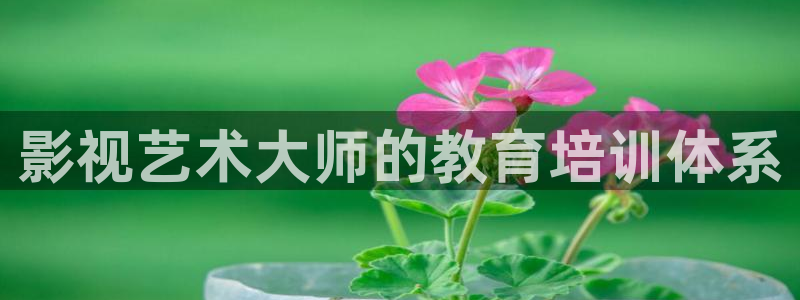 金桔直播免费视频：影视艺术大师的教育培训体系