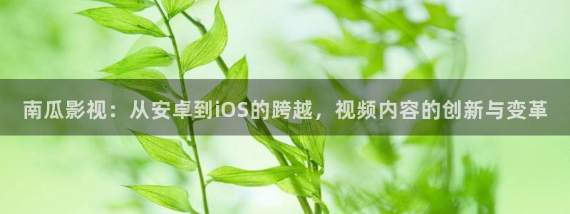金桔影院：南瓜影视：从安卓到iOS的跨越，视频内容的创新与变革