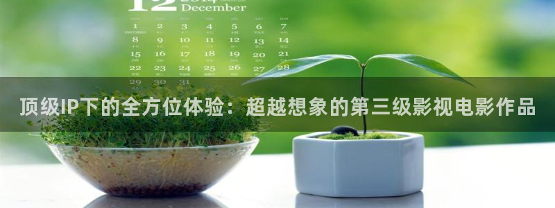 金桔影视下载：顶级IP下的全方位体验：超越想象的第三级影视电影作品