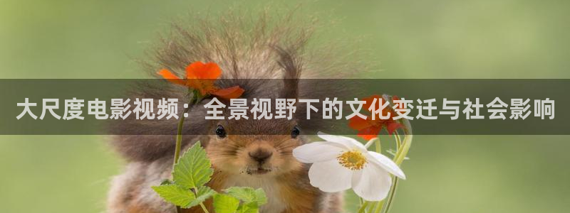 金桔影视网：大尺度电影视频：全景视野下的文化变迁与社会影响